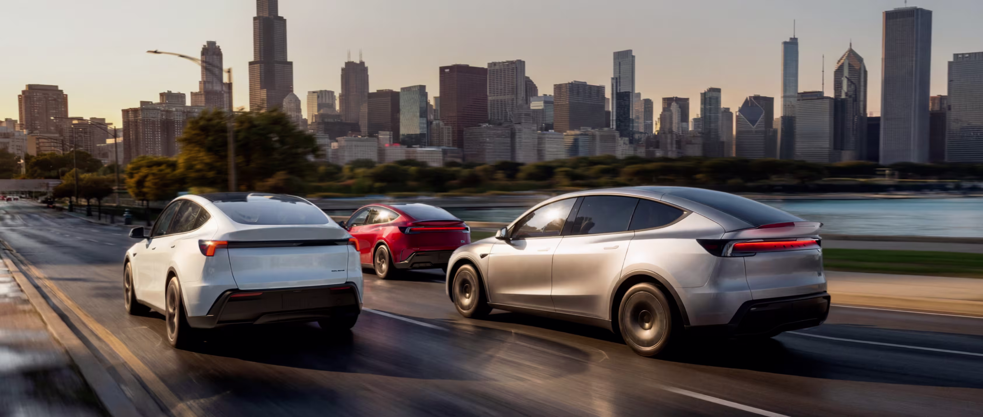 Model Y Family Shot