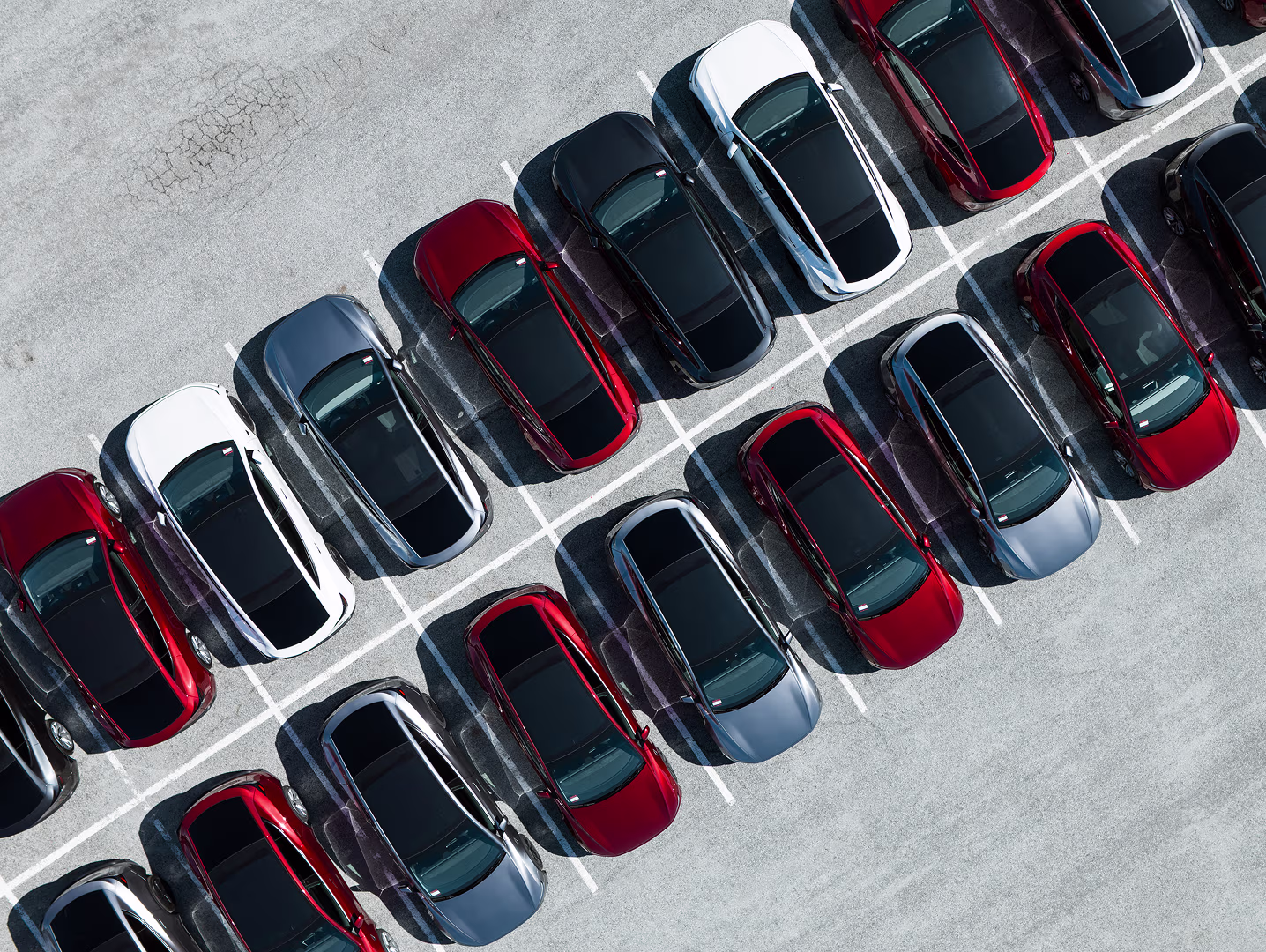 Tesla vehicles in parking lot